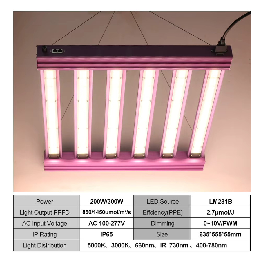 GRAXIDEA LED-Pflanzenlampe Vollspektrum in Schwarz, dimmbar mit Daisy-Chain-Funktion und integriertem Netzteil für Indoor-Gärtnerei - Bild 3