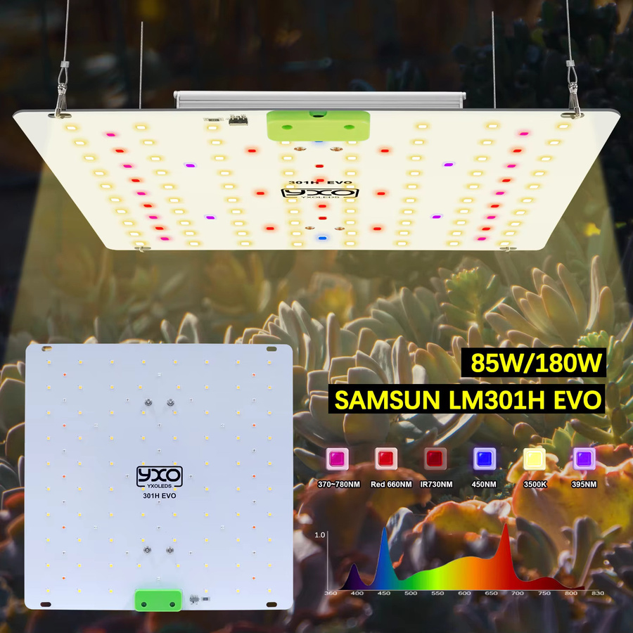 YXO YUXINOU 180 W Vollspektrum-LED-Wachstumslicht mit LM301H EVO und Sunlike Technologie für Hydrokultur und Gewächshaus, Weiß - Bild 3