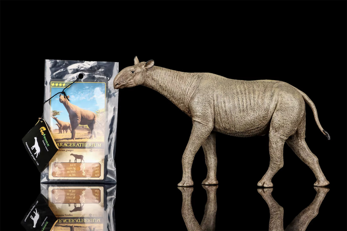 Eofauna Paraceratherium Grangeri Figur, 1:35 Maßstab, Einzelfigur - Bild 3