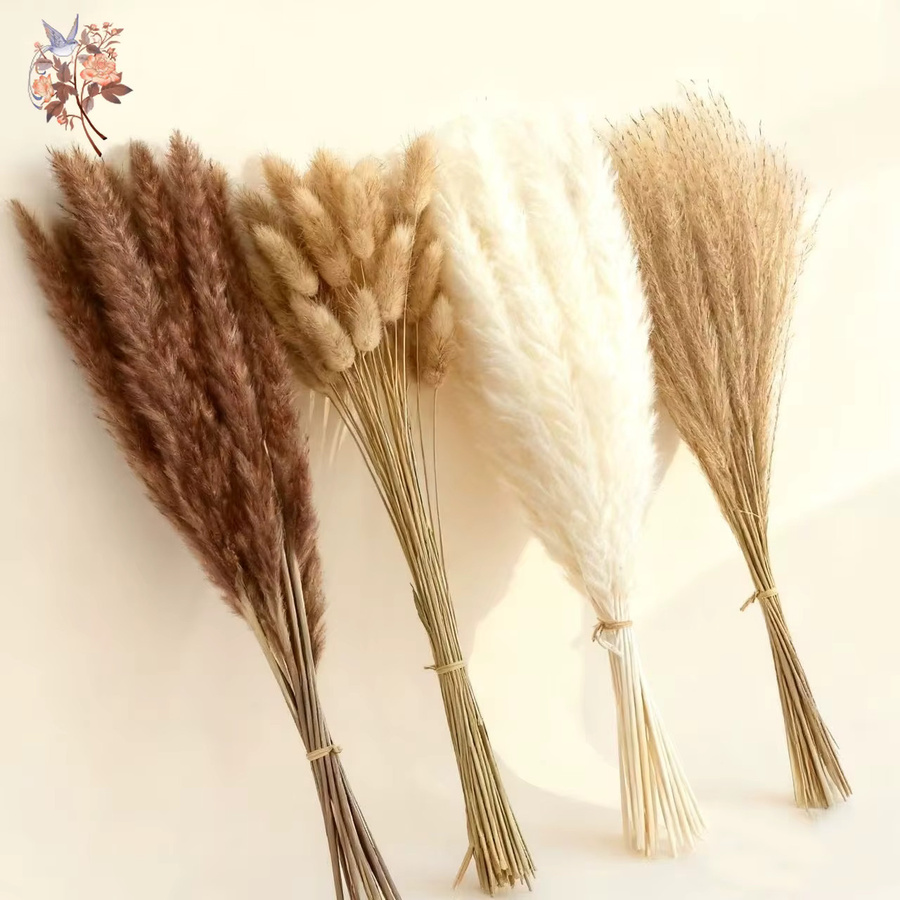 YN HI FLOWER Gemischtes Set aus natürlichem getrocknetem Pampasgras und Hasenschwanz für deine Boho-Heimdekoration, Hochzeiten und Partys - Bild 3