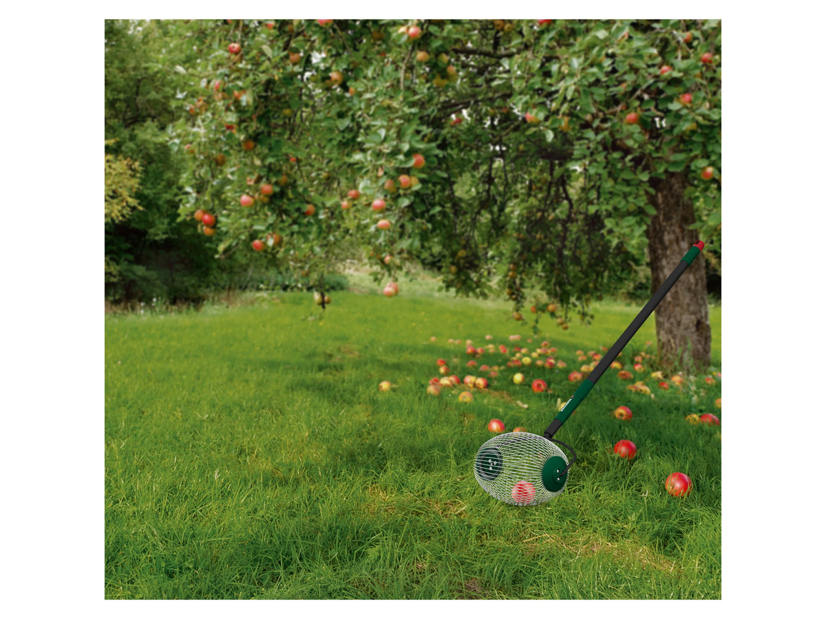 PARSIDE Obstpflücker und Rollsammler mit Teleskopstange aus Polyester - Bild 2