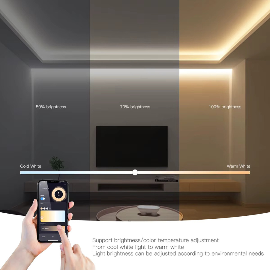 Tuya Smart Home LED Streifen Controller mit WiFi und Bluetooth für RGB, RGBW und RGB + CCT, Dimmer für DC12V-24V mit Sprachsteuerung - Bild 3