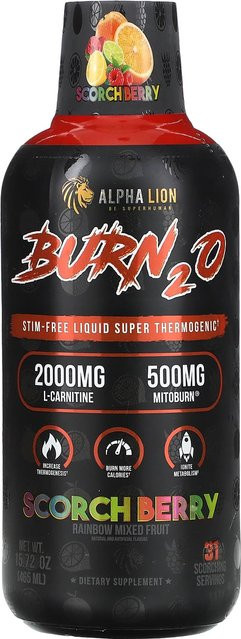 ALPHA LION, Burn2O, Limonade, Scotch Berry, Regenbogen-Fruchtmix, 0,465 l - Bild 1