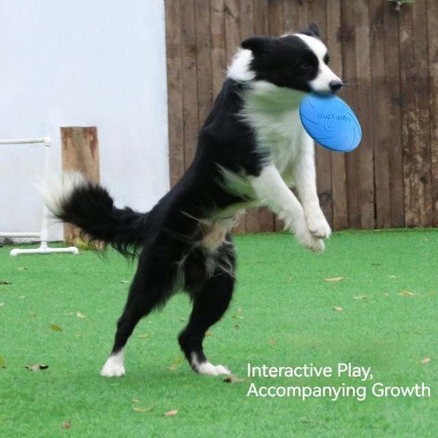 Meianju Hundefrisbee, aus Gummi, interaktives Trainingsspielzeug - Bild 1