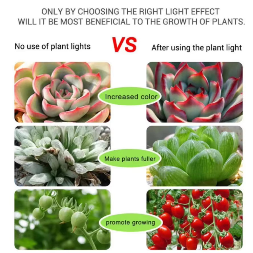 RnnTuu USB Wasserdichte LED Phyto Lampe mit Vollspektrum für Pflanzen, Gemüse und Blumen, 5m Länge - Bild 3