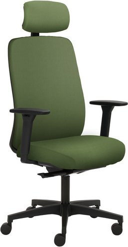 Mayer Sitzmöbel Drehstuhl 2229 mit Kopfstütze und Armlehnen, grün, B/H: 70 x 138 cm - Bild 1