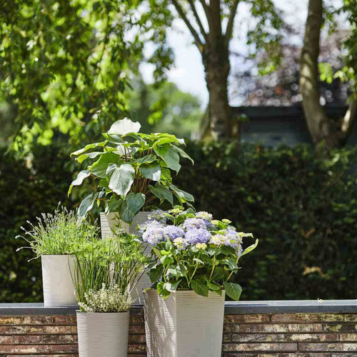 Siena Garden Pflanzkübel Eco Nizza in Grau mit Rillenoptik, B/T/H: 30 x 30 x 57 cm - Bild 3