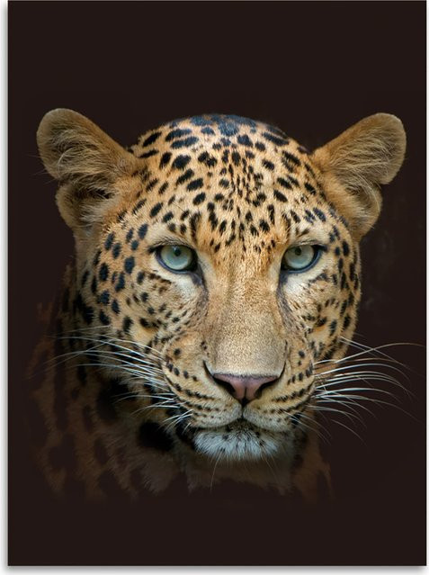 Kinzler Wohndecke Leopard Print in Braun, Microfaser, B/T: 150 x 200 cm - Bild 1
