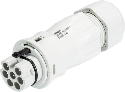 Wieland Electric 96.172.0853.0 Steckverbinder in Grau und Weiß - Bild 1
