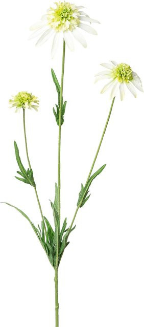 Kunstblume Sonnenhut von GASPER in Grün und Weiß, Höhe: 65,0 cm - Bild 1