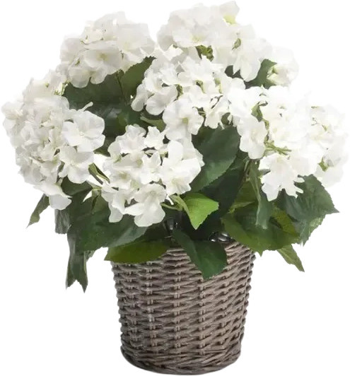 Künstliche Hortensie Lenny von Aplanta, Höhe: 45 cm - Bild 1