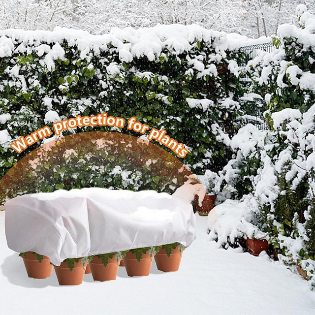 Wiederverwendbare Pflanzenabdeckung zum Frostschutz mit Schnur, beige, B/H: 80 x 40 cm - Bild 1
