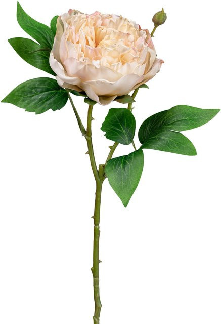 Kunstblume Peonie von GASPER in Beige und Pink - Bild 1