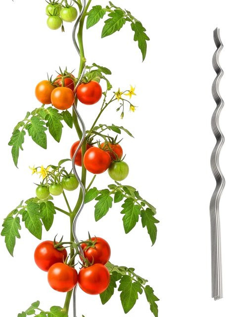 Relaxdays Tomaten Spiralstab aus verzinktem Stahl in Silber, 20er Pack, Höhe: 150 cm - Bild 1