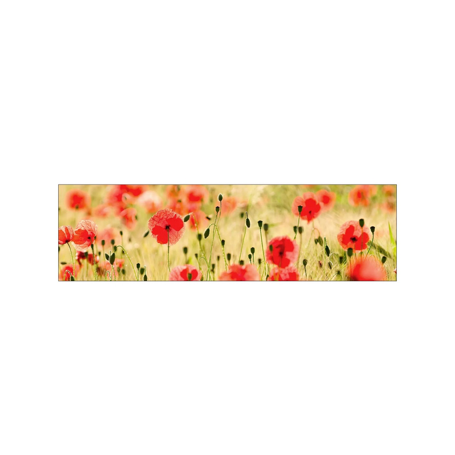 MySpotti Küchenrückwand Profix Cucina Mohnblüte in Rot, B: 60 cm, H: 210 cm - Bild 1