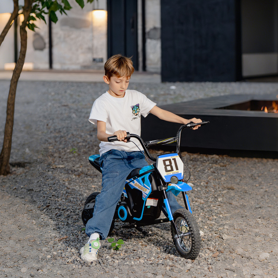 AIYAPLAY Elektro Motorrad für Kinder Blau mit 250W Motor, 24V Akku und 12 Zoll Luftreifen - Bild 2
