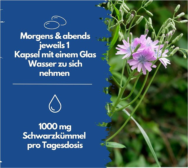 EXVital Schwarzkümmelöl Kapseln, 400 Kapseln - Bild 1