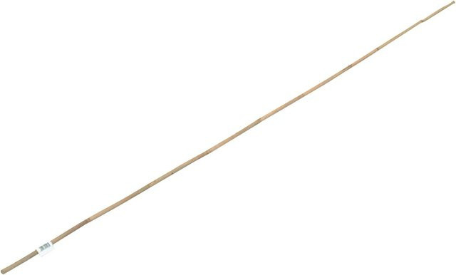 Bambusstab zur Pflanzenunterstützung, Länge: 150 cm, Durchmesser: 1 cm - Bild 1