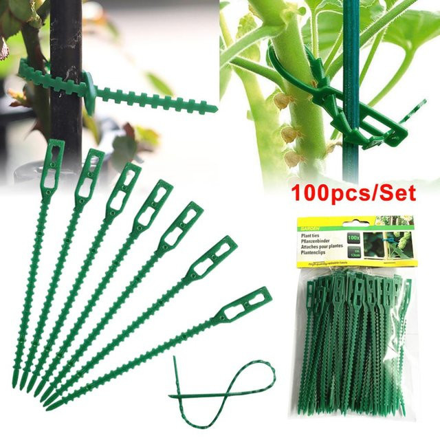 TOMTOP JMS 100 Stück verstellbare Pflanzenbinder in Schwarz zur Unterstützung deiner Rosen und Gartenpflanzen - Bild 1