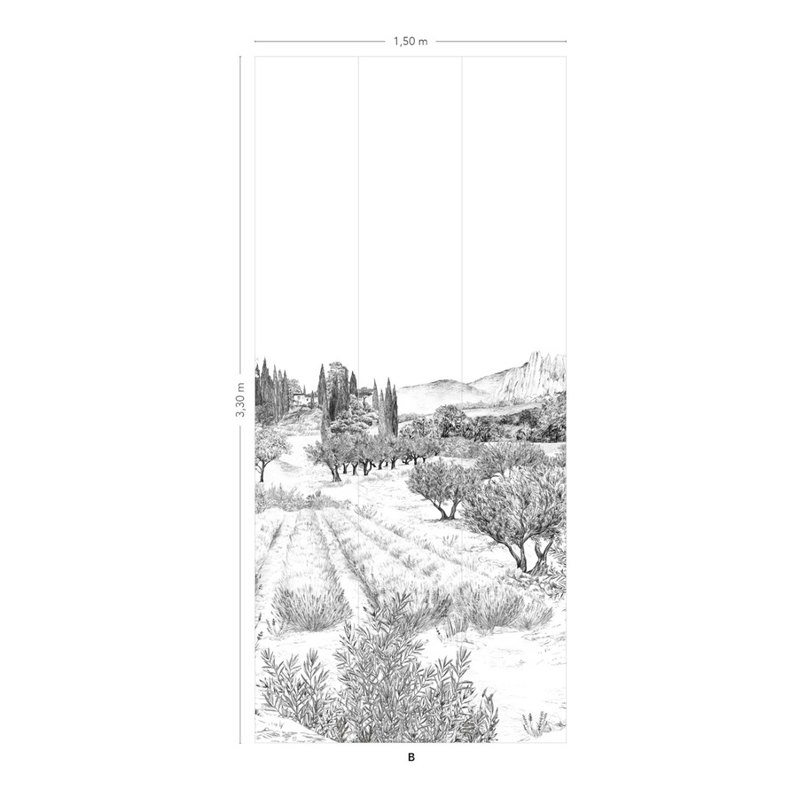 Isidore Leroy Mural Provence Grisaille Panel B Wandtapete in Grau mit floralem Vintage-Design, Breite: 330 cm, Höhe: 150 cm - Bild 1