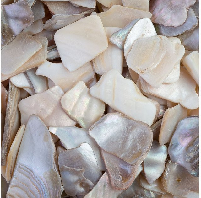 Eurosand Muschelplatten aus Naturmaterial in Perlmuttfarben und Elfenbein für einen maritimen Stil - Bild 1