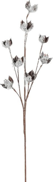 Mica Decorations Tannenkunstzweig Frosted Braun, Länge: 75 cm - Bild 1