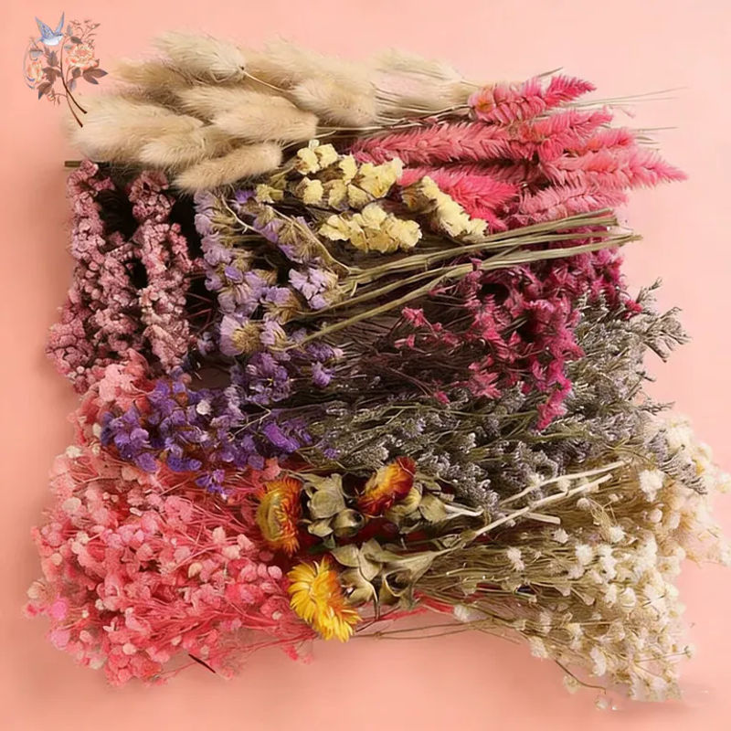 YN HI FLOWER Gemischtes Trockenblumen-Materialpaket in Box, Mehrfarbiges Mini-Bouquet für Hochzeitsdekoration und Boutonniere im Bohemian-Stil - Bild 2