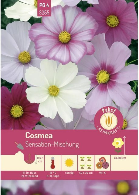 Pabst Keimkraft Cosmea Sensation-Mischung Saatgut für Beete und Rabatten - Bild 1