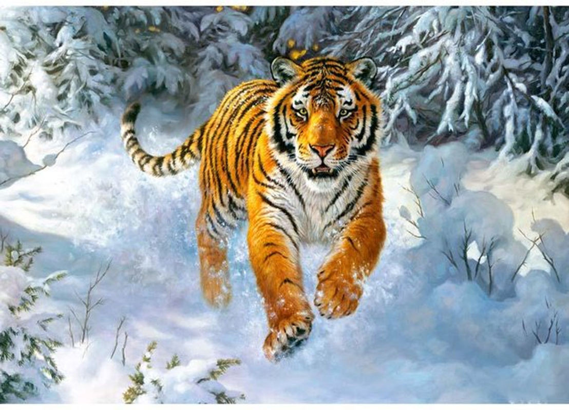 FIYO 5D Diamantgemälde Tiger im Schnee als Diamant-Stickerei und Strass-Mosaik, mehrfarbig, B/H: 20 x 30 cm - Bild 1