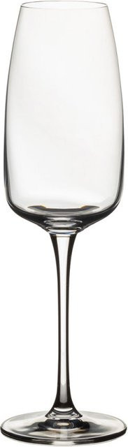 Costa Nova Sektglas Isabel, 12er Pack, transparent, 290 ml - Bild 1