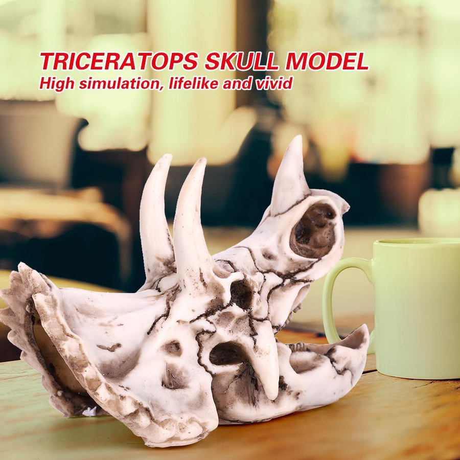 mfySpace Triceratops Schädel Modell aus Harz als dekoratives Dinosaurier Skelett für Heim und Büro - Bild 6
