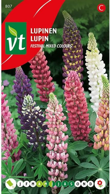 Arborix Lupine Mischung Samen für bunte Blüten, ca. 1 g - Bild 1