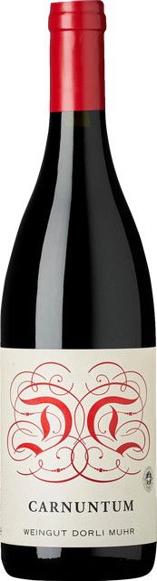 Dorli Muhr Rotwein Blaufränkisch Syrah Carnuntum 2022, 0,75 l - Bild 1