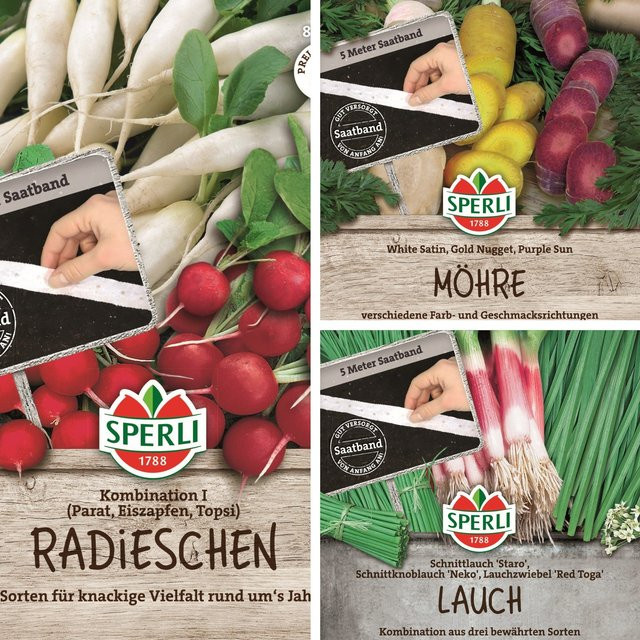 SPERLI Samen-Set Gemüse Kombis Easy Gardening mit 3 x Saatgut in Mehrfarbig - Bild 1