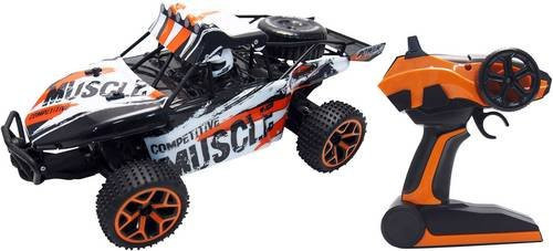 Amewi Extreme D5 Sand Buggy 1:18 RC Einsteiger Modellauto Elektro mit Allradantrieb (4WD) - Bild 1