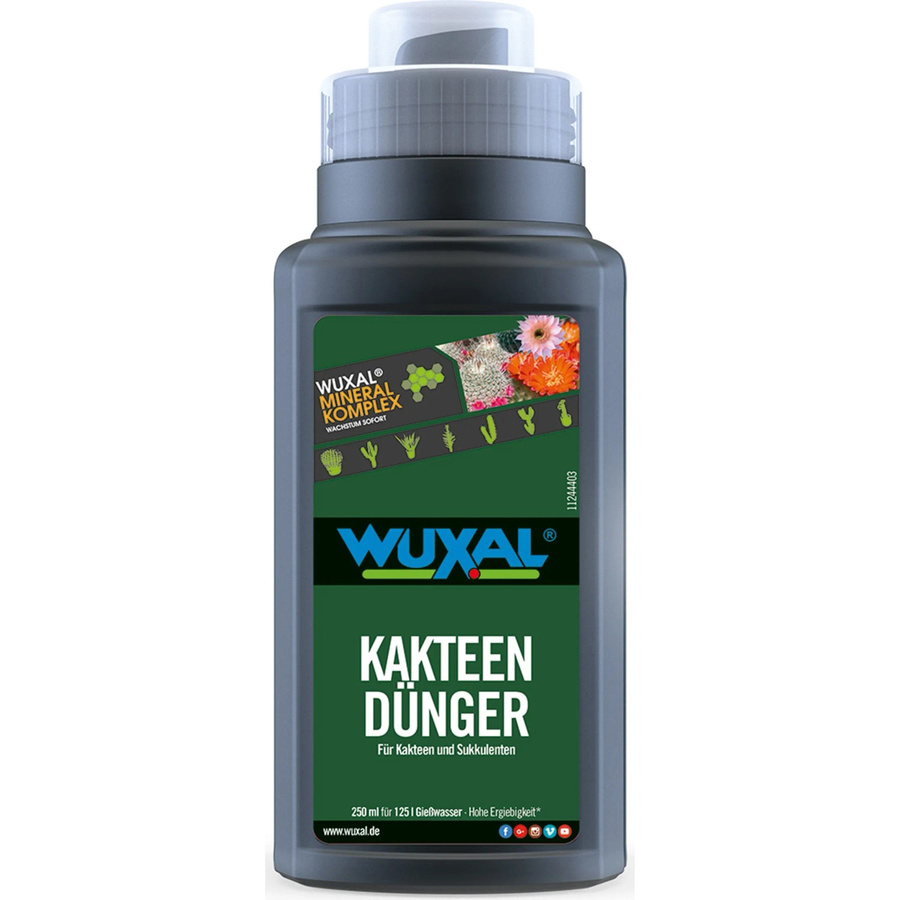 Wuxal Kakteen- und Bonsaidünger mineralischer Flüssigdünger - Bild 2