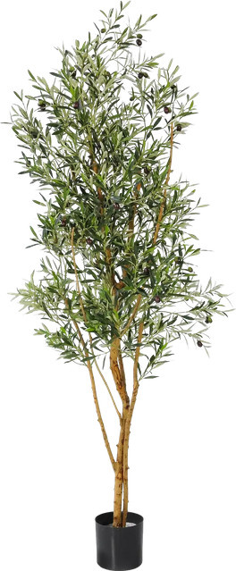 Künstlicher Olivenbaum Elsbeth von Aplanta in Grün, Höhe: 180 cm - Bild 1