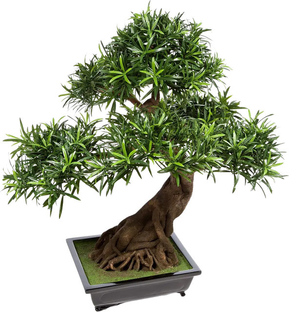 Aplanta Künstlicher Steineiben-Bonsai Summer, Höhe: 80 cm - Bild 1