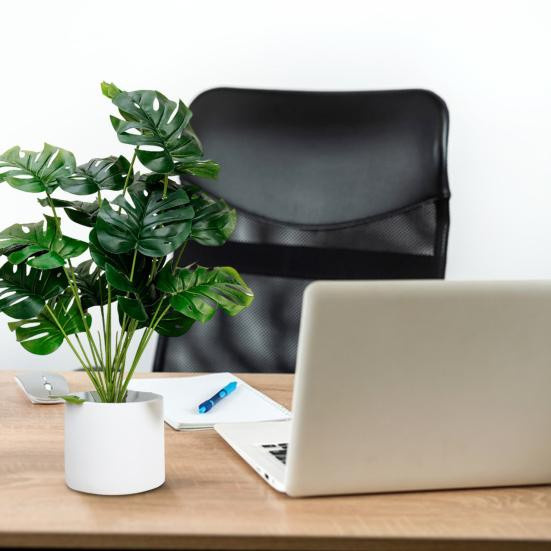 Künstliche Monstera-Pflanze Wangmingyuan in Grün als Tischdeko für dein Wohnzimmer oder Homeoffice - Bild 3