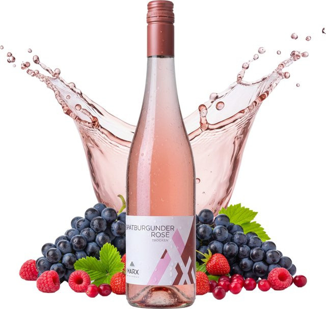 Weingut Marx Spätburgunder Rosé, trocken, Roséwein, 0,75 l - Bild 1