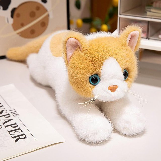 Britisch Kurzhaar Ragdoll Katze Plüschtier, 40cm, ab 14 Jahren - Bild 1