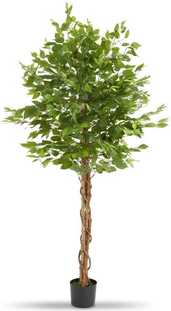 Tectake Künstlicher Ficusbaum Grün, H x B x T: 180 x 70 x 70 cm - Bild 1
