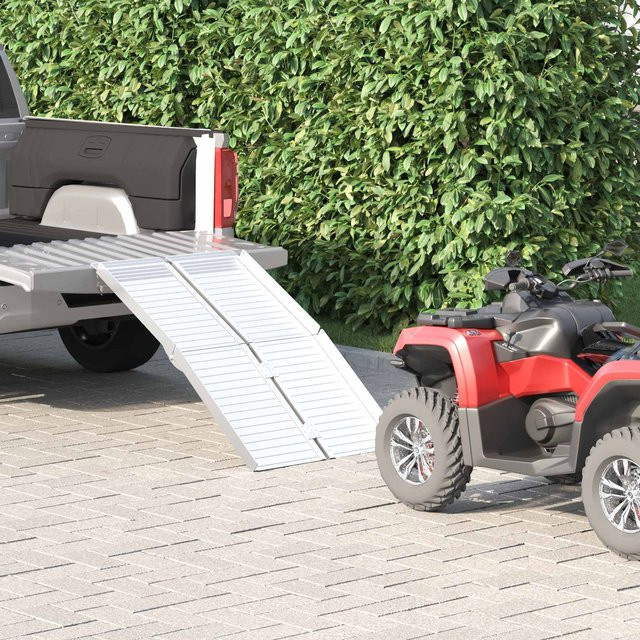 Rollstuhlrampe aus silbernem Aluminium von VD Home Furnishing mit einer Tragkraft von 270 kg - Bild 1