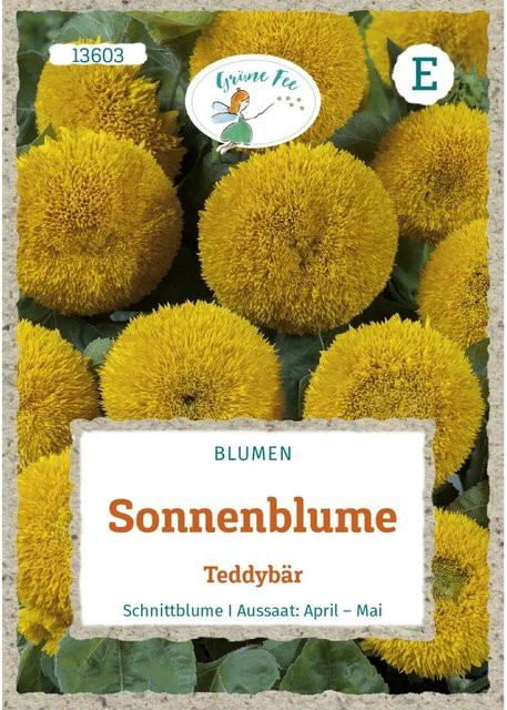 Grüne Fee Sonnenblume Teddybär Saatgut für Beete und Töpfe - Bild 1