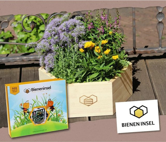 Proflora Bieneninsel Pflanzset mit Holzwabe und Saatgut für Garten, Balkon oder Terrasse - Bild 1