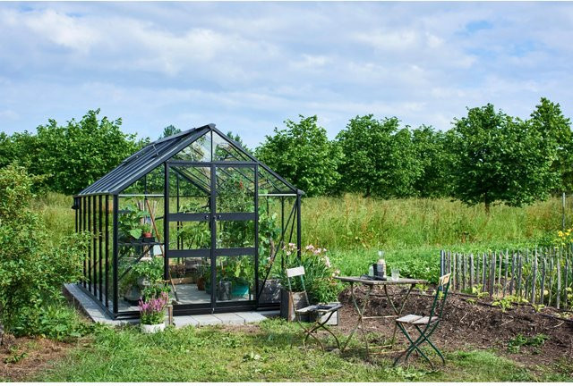 Halls Gewächshaus Blockley 814 Schwarz mit Fundament aus Aluminium und Sicherheitsglas 11,3 m² - Bild 1