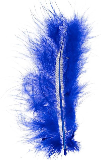 idee. Creativmarkt Softfedern in Blau, 10 Stück - Bild 1