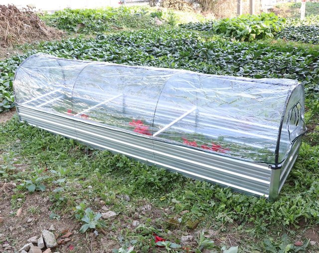 Gartenbeet mit Überdachung B/H/T: 300 x 80 x 80 cm - Bild 1