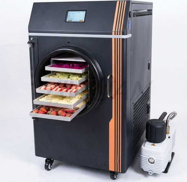 LISM Gefriertrockner für Lebensmittel, Obst und Gemüse, energiesparender Sublimations-Lyophilisator für Zuhause mit 6kg Kapazität und Vakuumpumpe - Bild 1