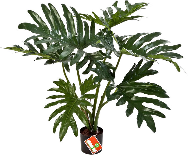 Künstliche Philodendron Thalia Pflanze von Aplanta, grün, Höhe: 60 cm - Bild 1